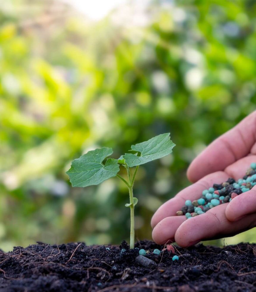 fertilizer fertilizer